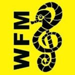 Logo de la webradio le fil musical du web